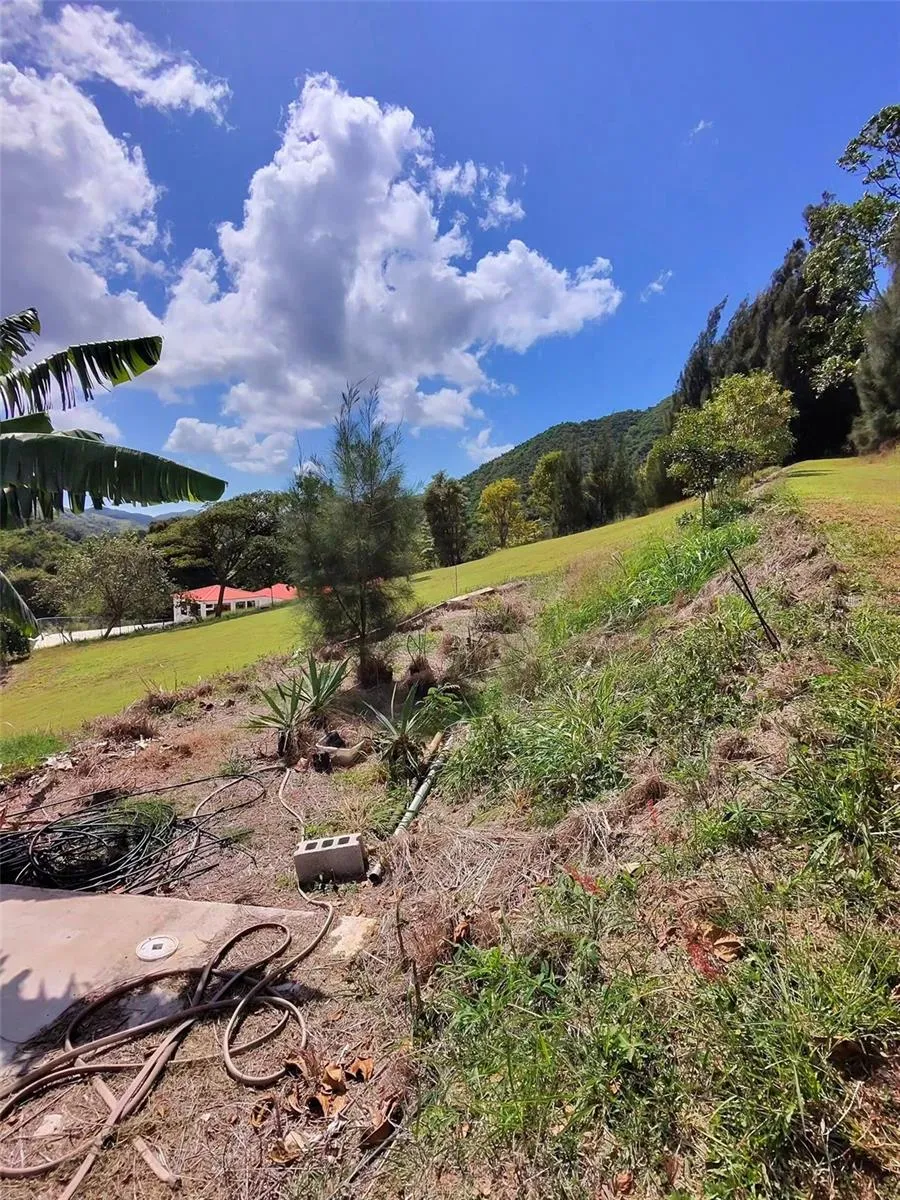 717 CARR. 717, 4.2 INT, LOT 5 Aibonito, PR 00705