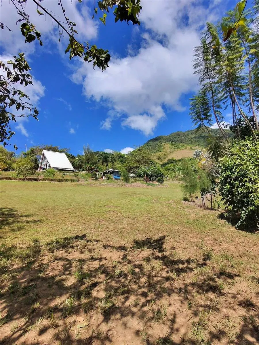 717 CARR. 717, 4.2 INT, LOT 5 Aibonito, PR 00705