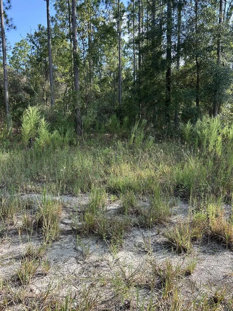 103 LEE DR Hawthorne, FL 32640