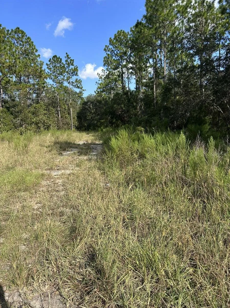 103 LEE DR Hawthorne, FL 32640