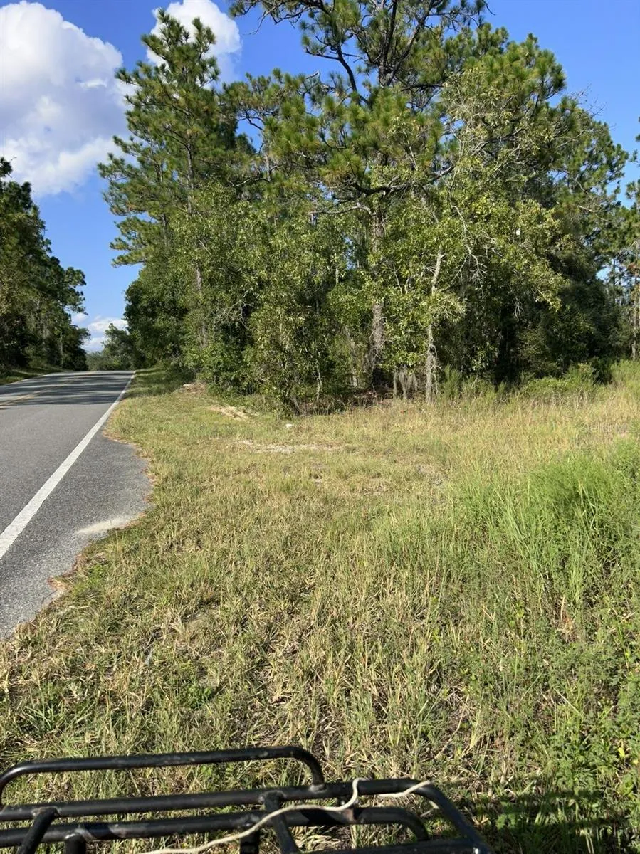 103 LEE DR Hawthorne, FL 32640