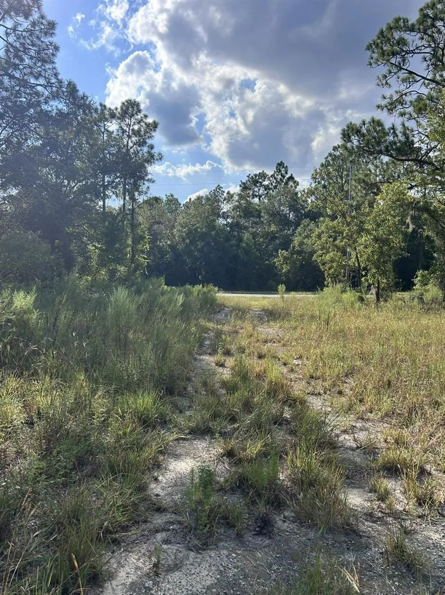 103 LEE DR Hawthorne, FL 32640