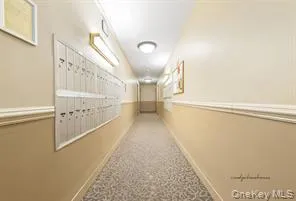 14325 84th Drive #2E Jamaica, NY 11435