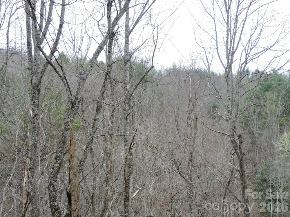 2271 Gouges Creek Road Spruce Pine, NC 28777