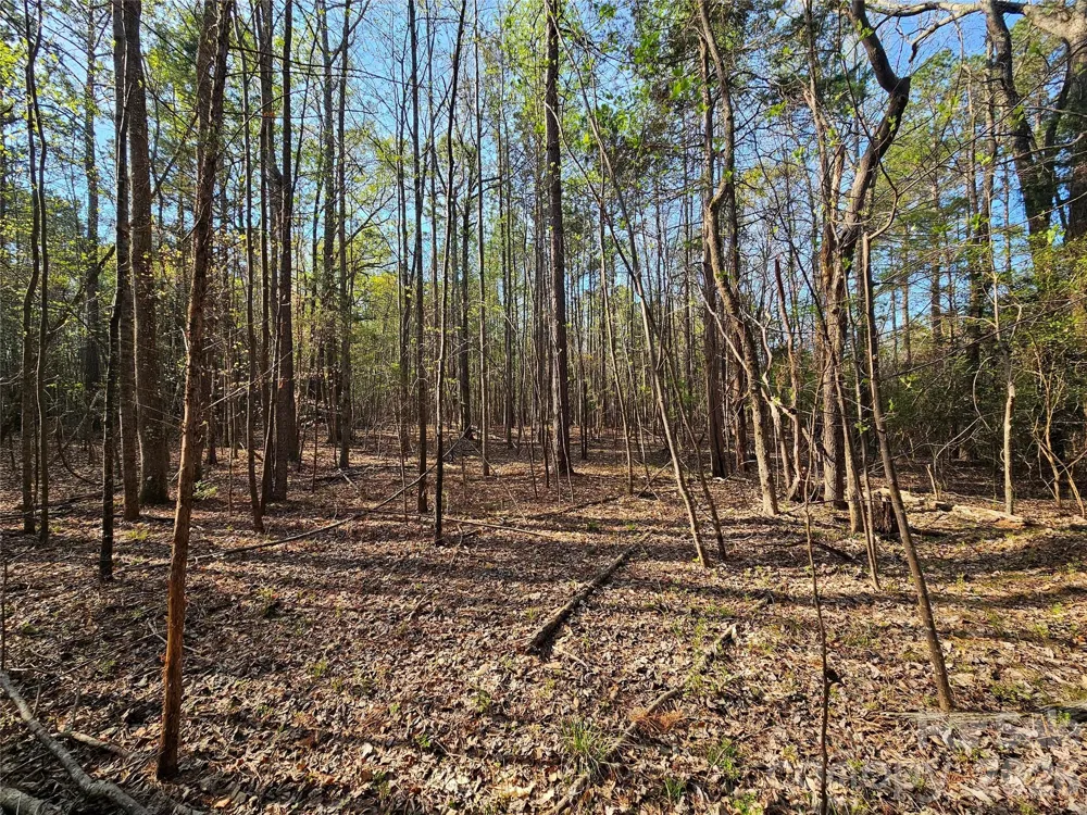 Lot 10 Elliott Road Richburg, SC 29729