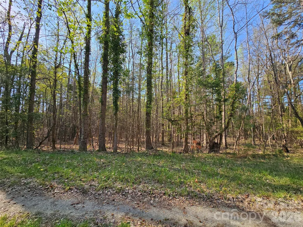 Lot 10 Elliott Road Richburg, SC 29729
