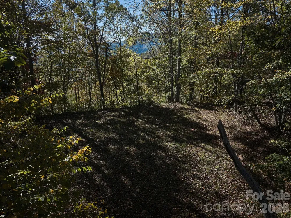0 Glory Mountain Road Bryson City, NC 28713