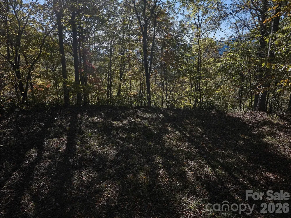 0 Glory Mountain Road Bryson City, NC 28713