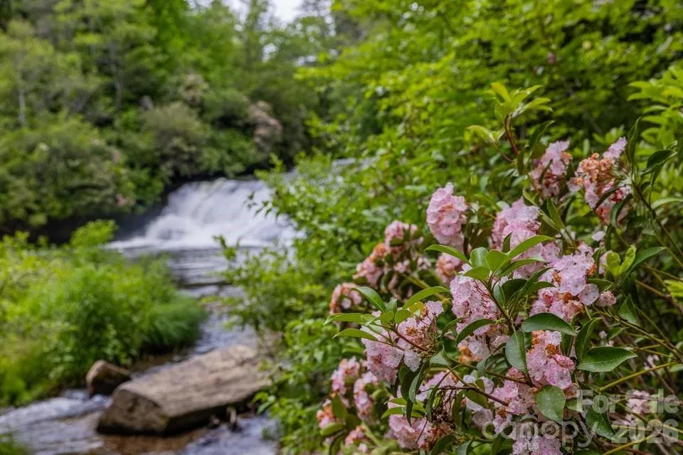 940 Winding Creek Road Sapphire, NC 28774