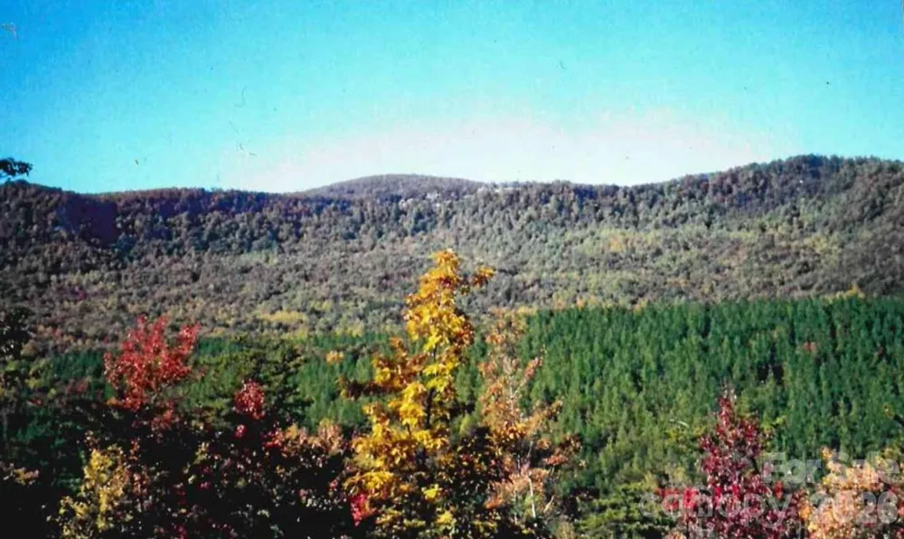 000 Froggyville Lane Mill Spring, NC 28756