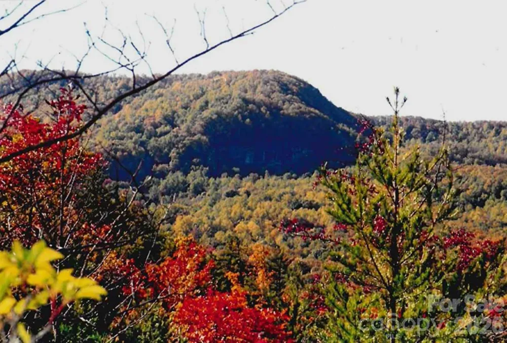 000 Froggyville Lane Mill Spring, NC 28756