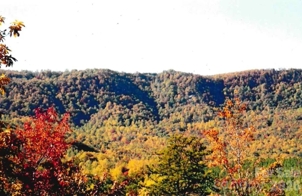 000 Froggyville Lane Mill Spring, NC 28756