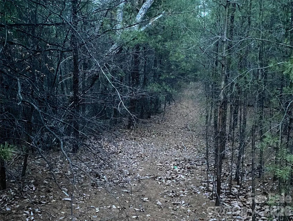 000 Froggyville Lane Mill Spring, NC 28756