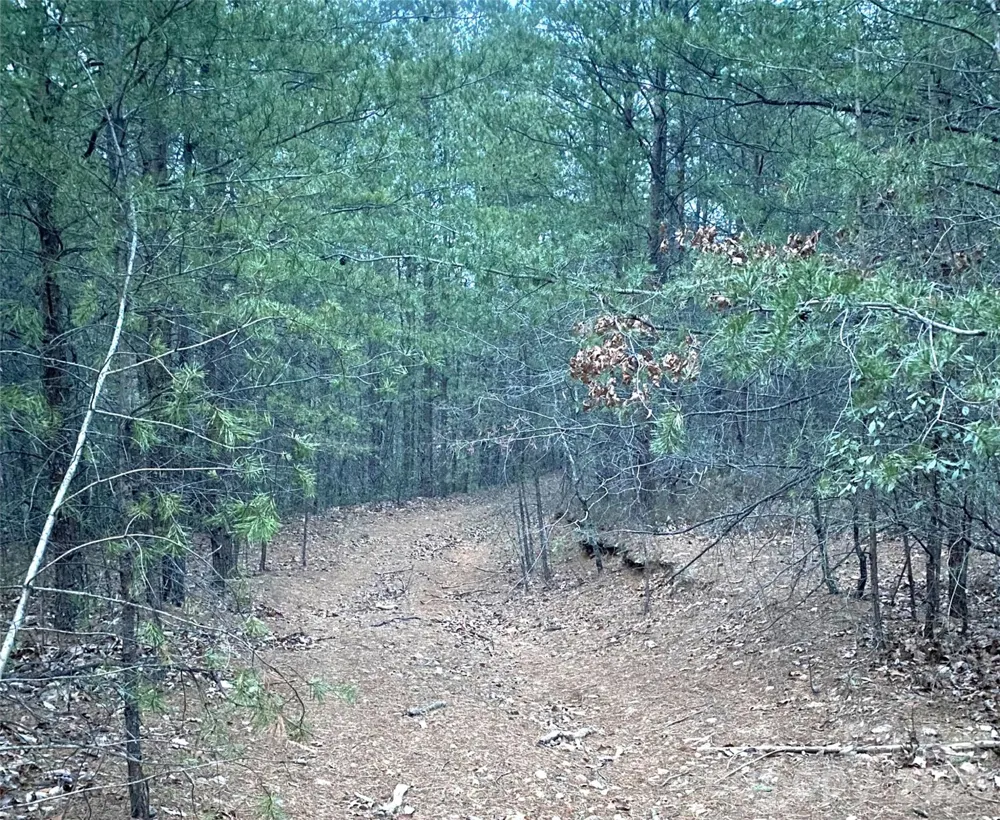 000 Froggyville Lane Mill Spring, NC 28756