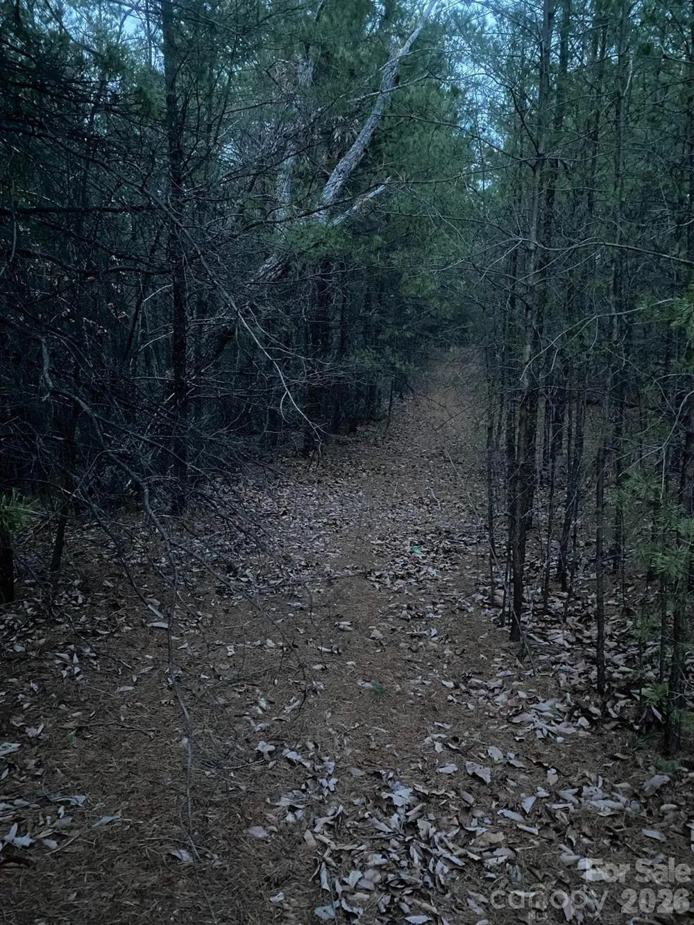 000 Froggyville Lane Mill Spring, NC 28756