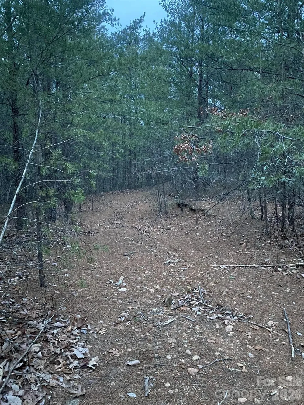 000 Froggyville Lane Mill Spring, NC 28756
