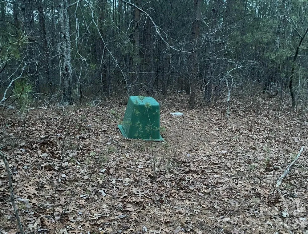 000 Froggyville Lane Mill Spring, NC 28756