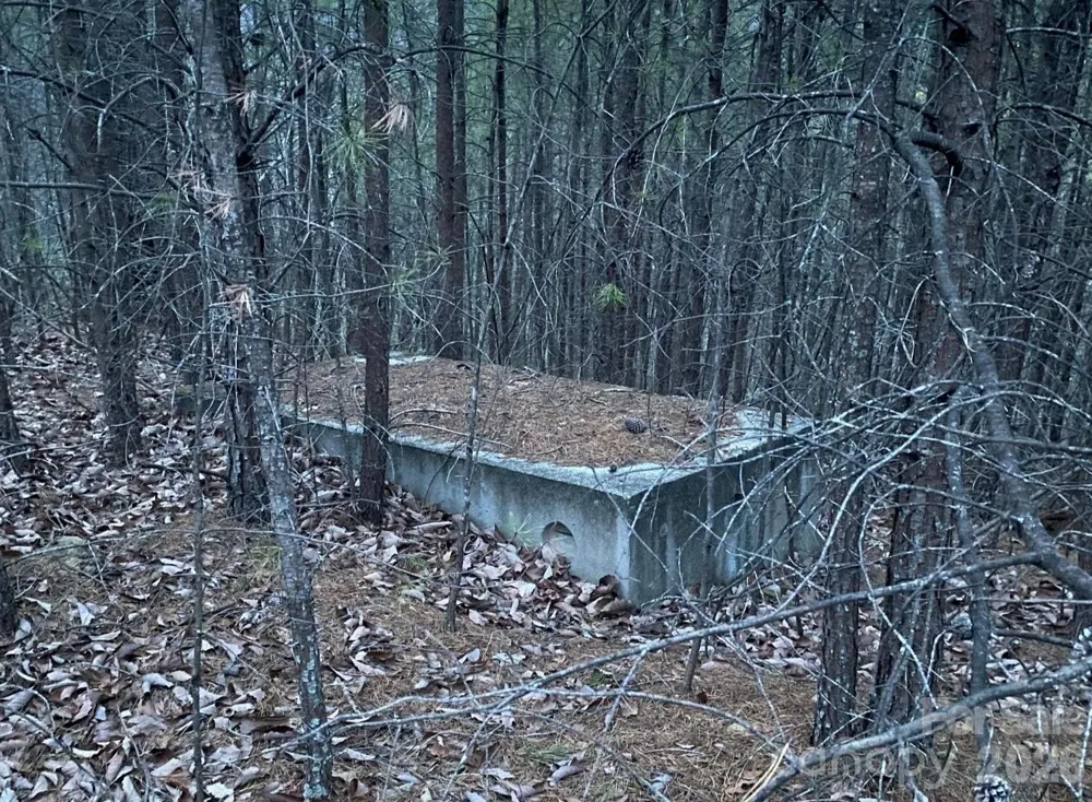 000 Froggyville Lane Mill Spring, NC 28756