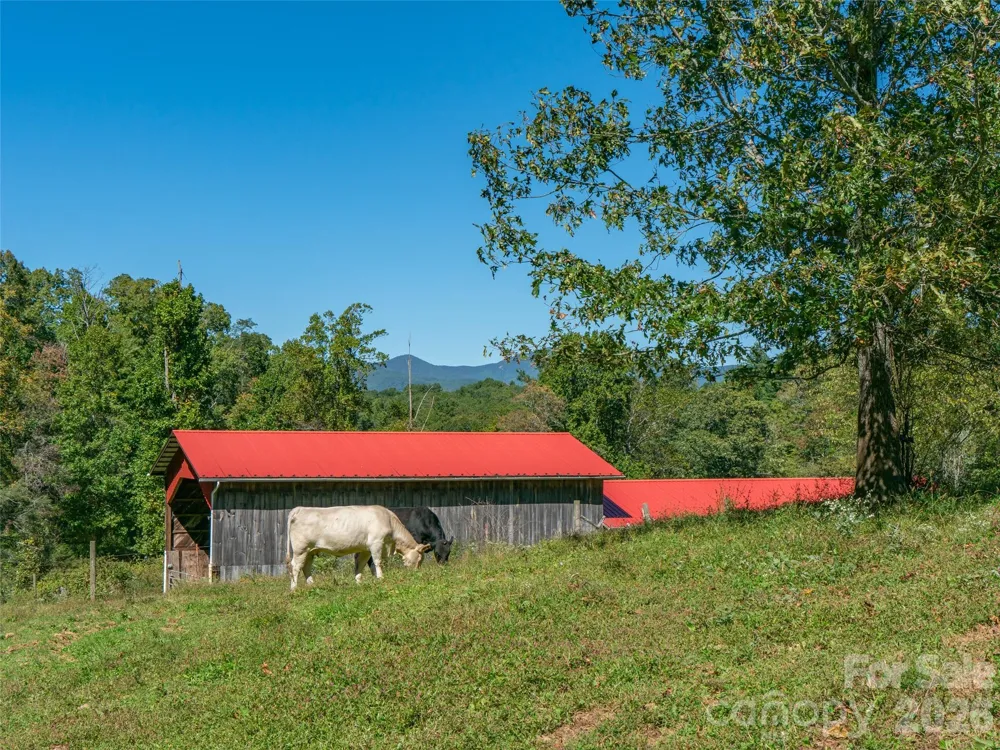 1050 Dale Road Spruce Pine, NC 28777
