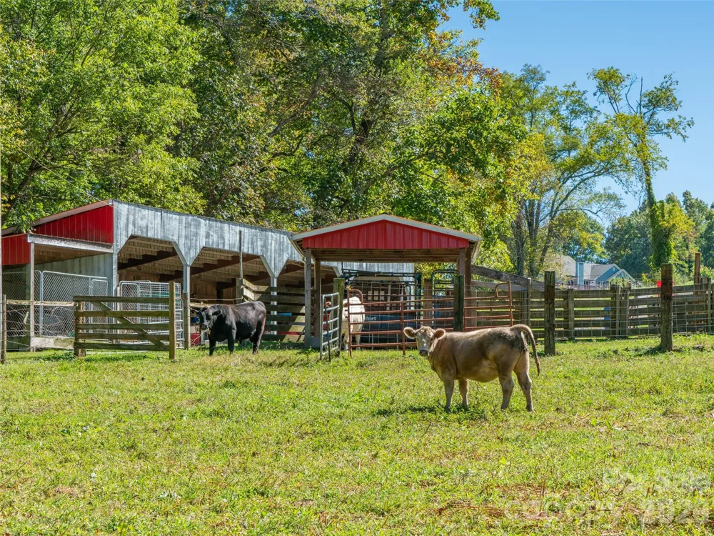 1050 Dale Road Spruce Pine, NC 28777