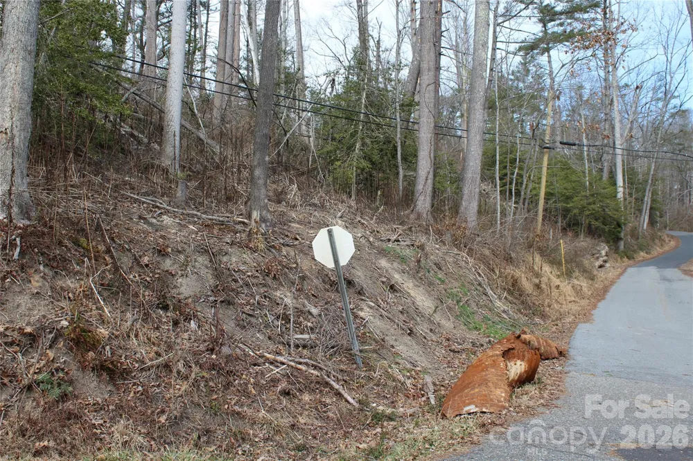 00 Monte Vista Circle Spruce Pine, NC 28777