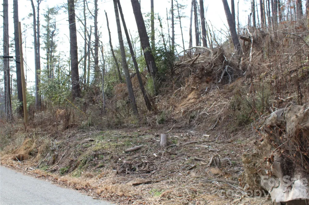 00 Monte Vista Circle Spruce Pine, NC 28777