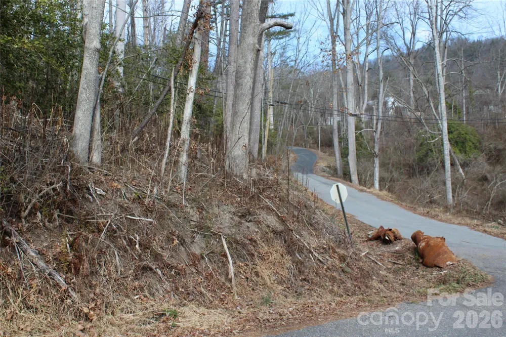 00 Monte Vista Circle Spruce Pine, NC 28777