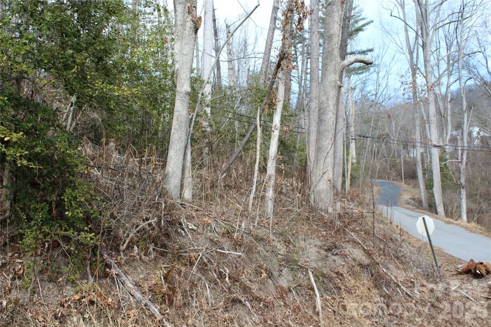00 Monte Vista Circle Spruce Pine, NC 28777