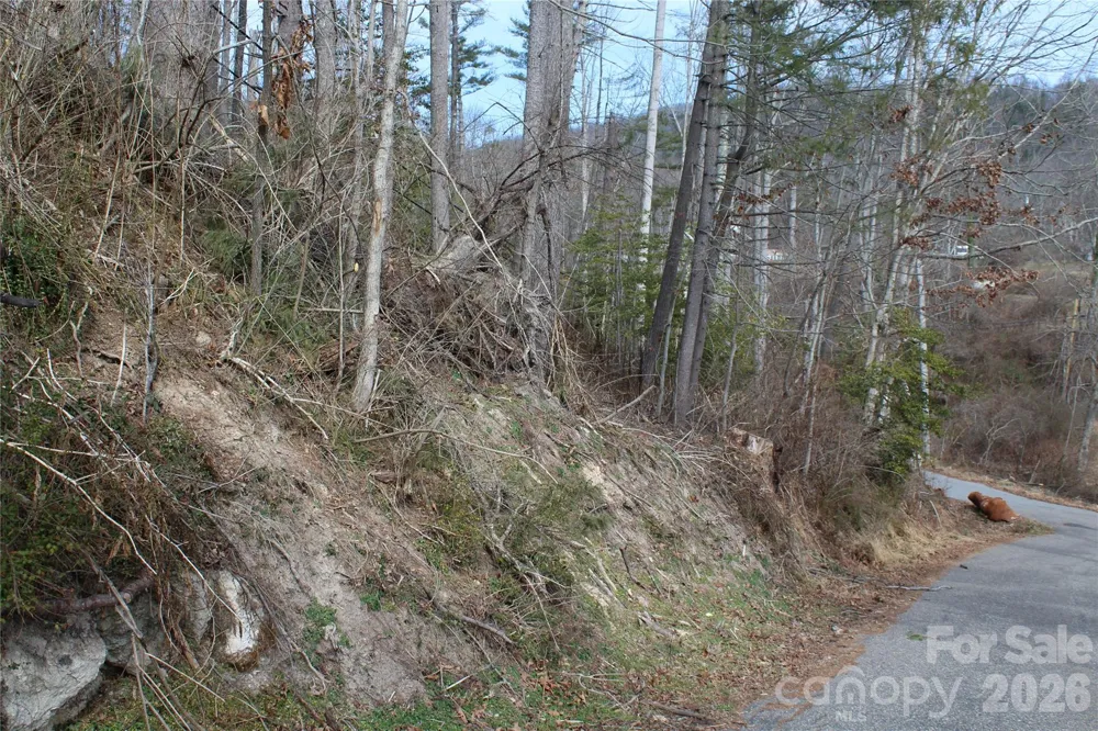 00 Monte Vista Circle Spruce Pine, NC 28777