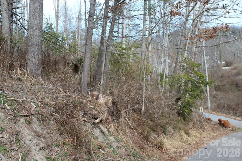 00 Monte Vista Circle Spruce Pine, NC 28777
