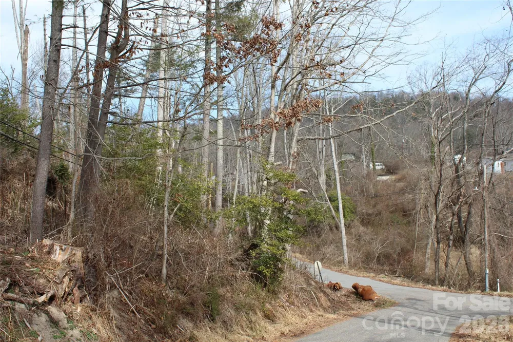 00 Monte Vista Circle Spruce Pine, NC 28777