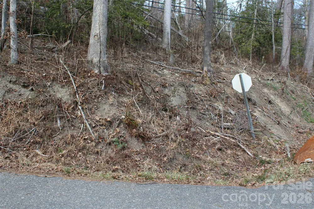 00 Monte Vista Circle Spruce Pine, NC 28777