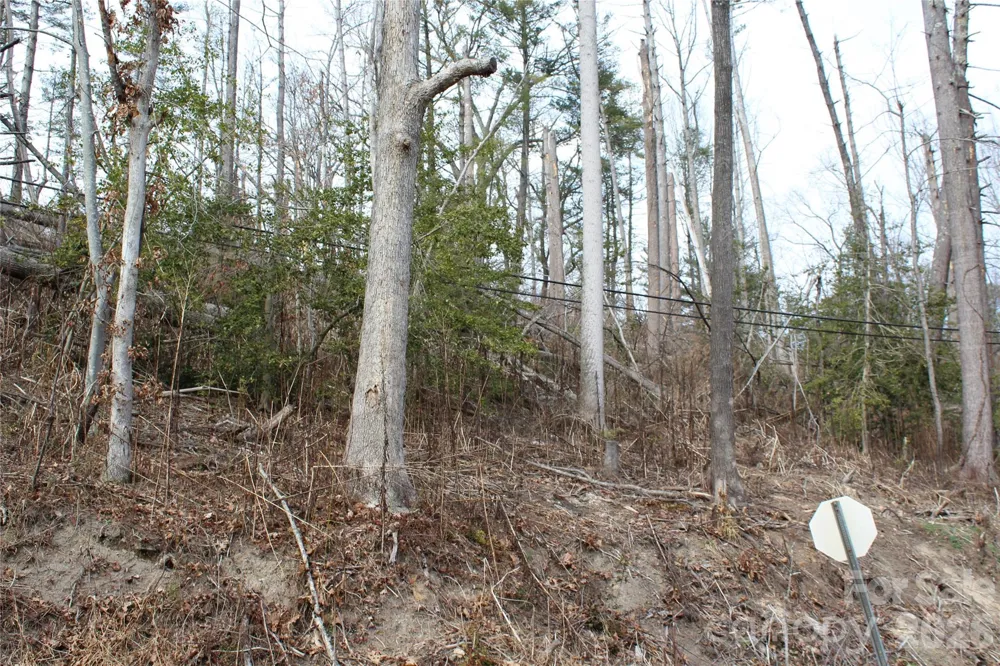 00 Monte Vista Circle Spruce Pine, NC 28777