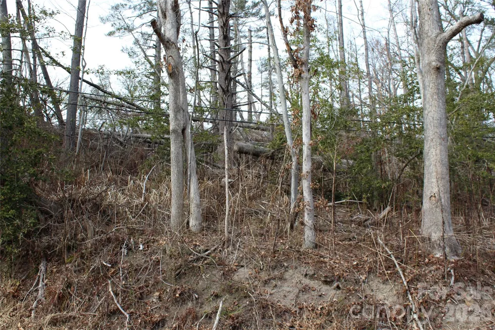 00 Monte Vista Circle Spruce Pine, NC 28777