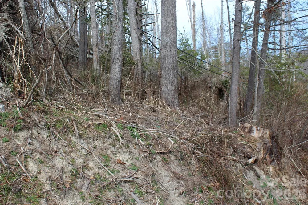 00 Monte Vista Circle Spruce Pine, NC 28777