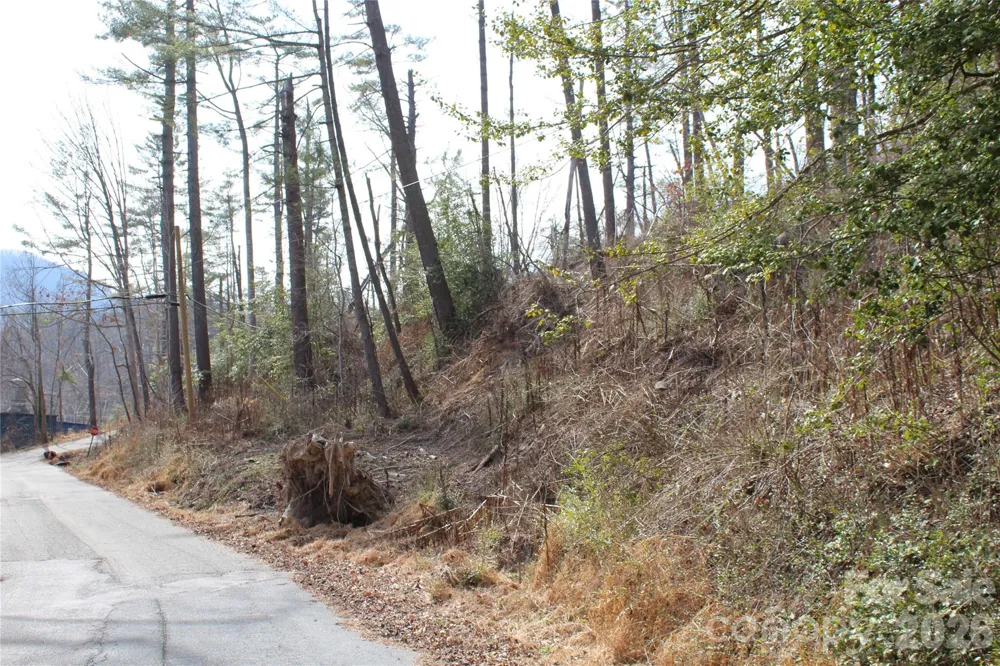 00 Monte Vista Circle Spruce Pine, NC 28777
