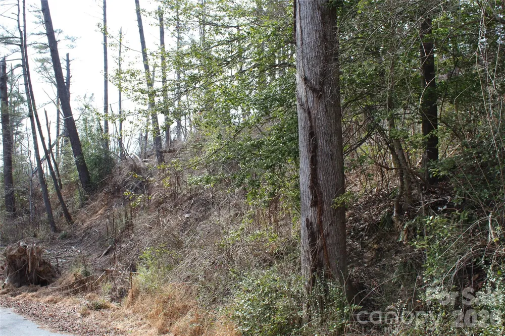 00 Monte Vista Circle Spruce Pine, NC 28777