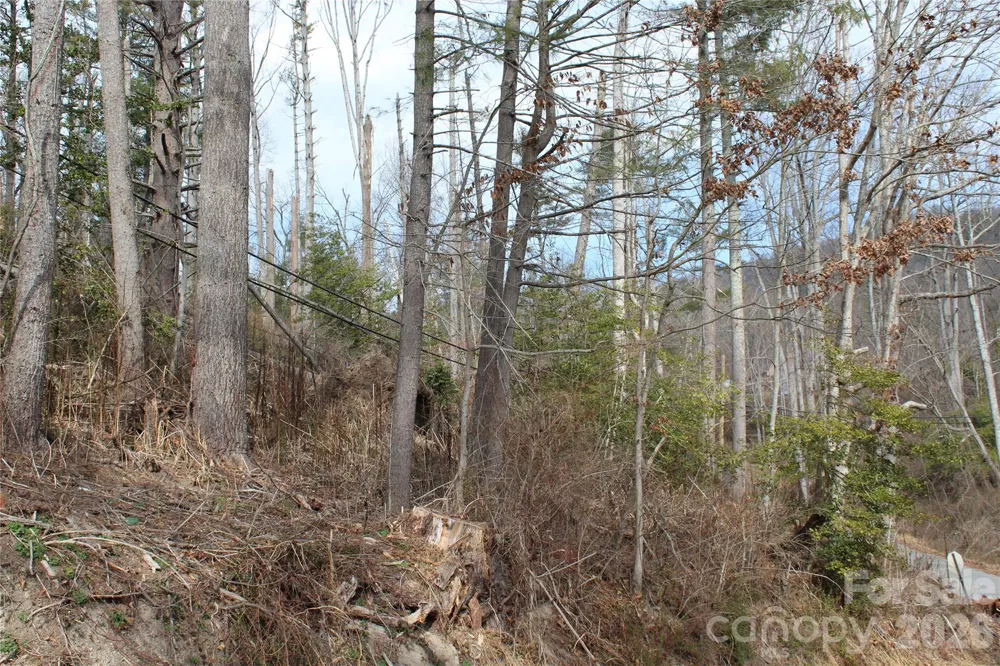 00 Monte Vista Circle Spruce Pine, NC 28777