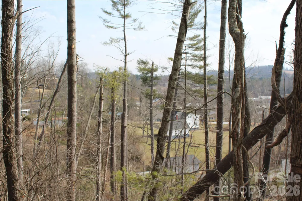 00 Monte Vista Circle Spruce Pine, NC 28777