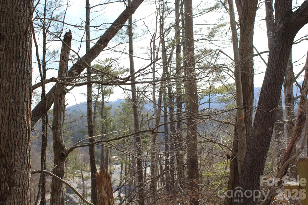 00 Monte Vista Circle Spruce Pine, NC 28777