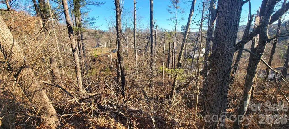 00 Monte Vista Circle Spruce Pine, NC 28777