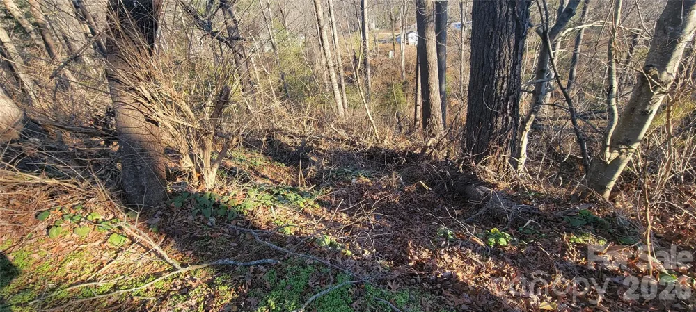 00 Monte Vista Circle Spruce Pine, NC 28777