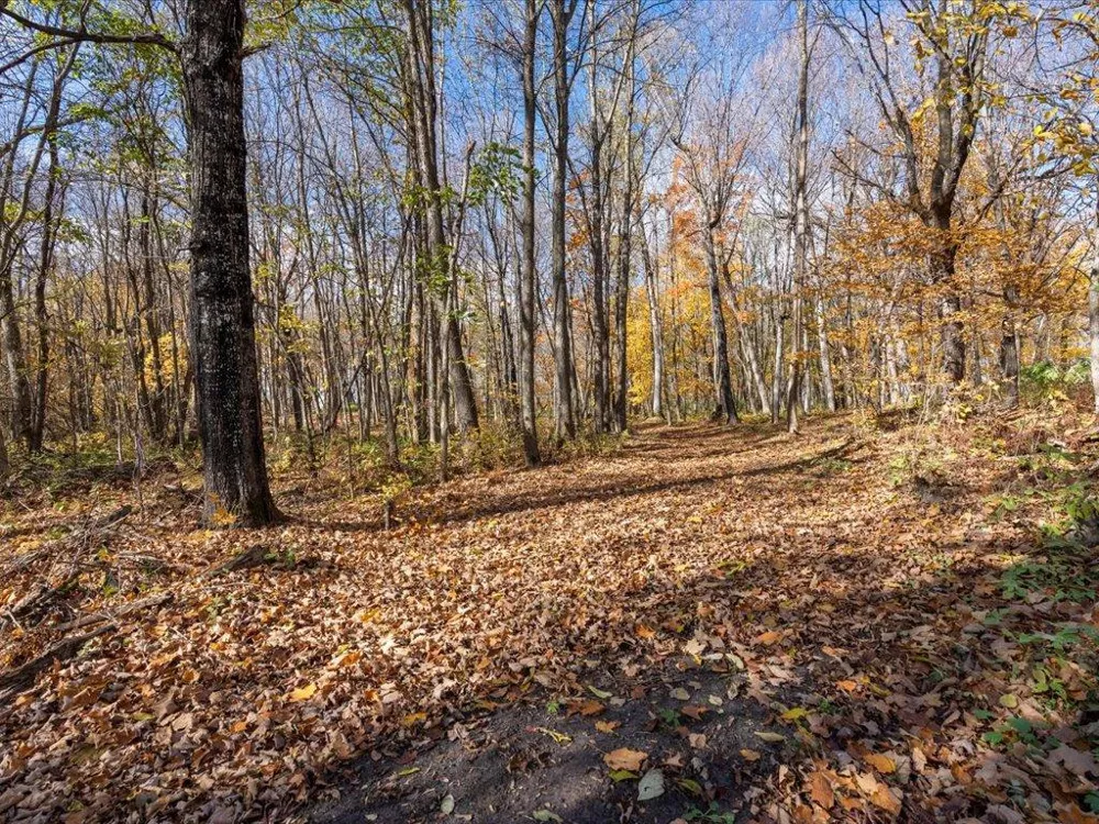 11095 Ottertail Point Drive NW Cass Lake, MN 56633