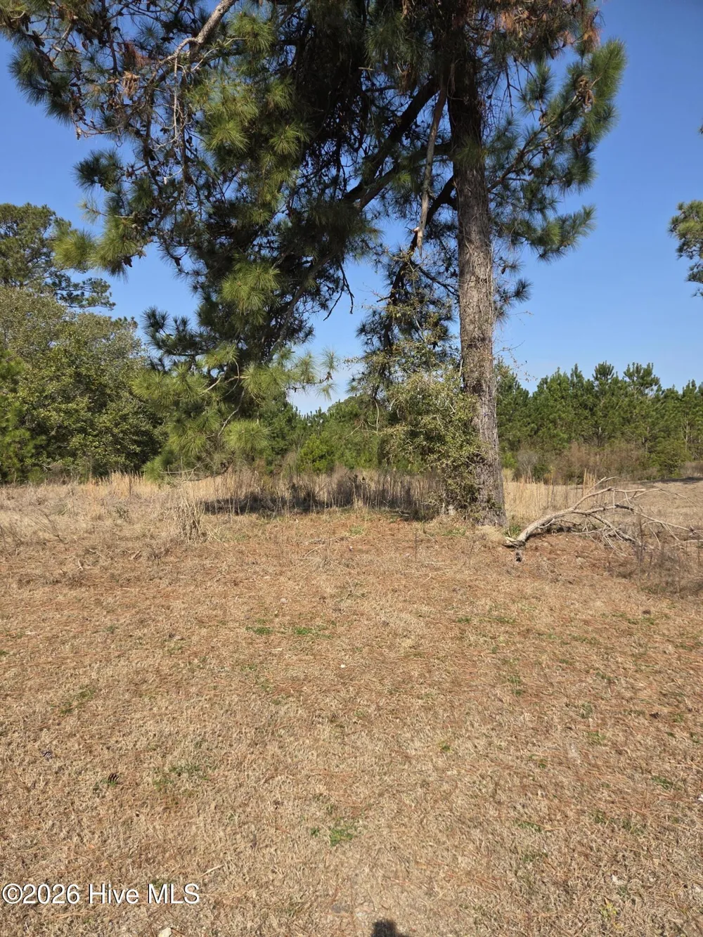 7439 Donegal Circle SW Sunset Beach, NC 28468