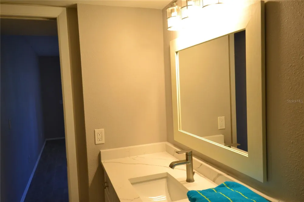 135 W CYPRESS COURT Oldsmar, FL 34677