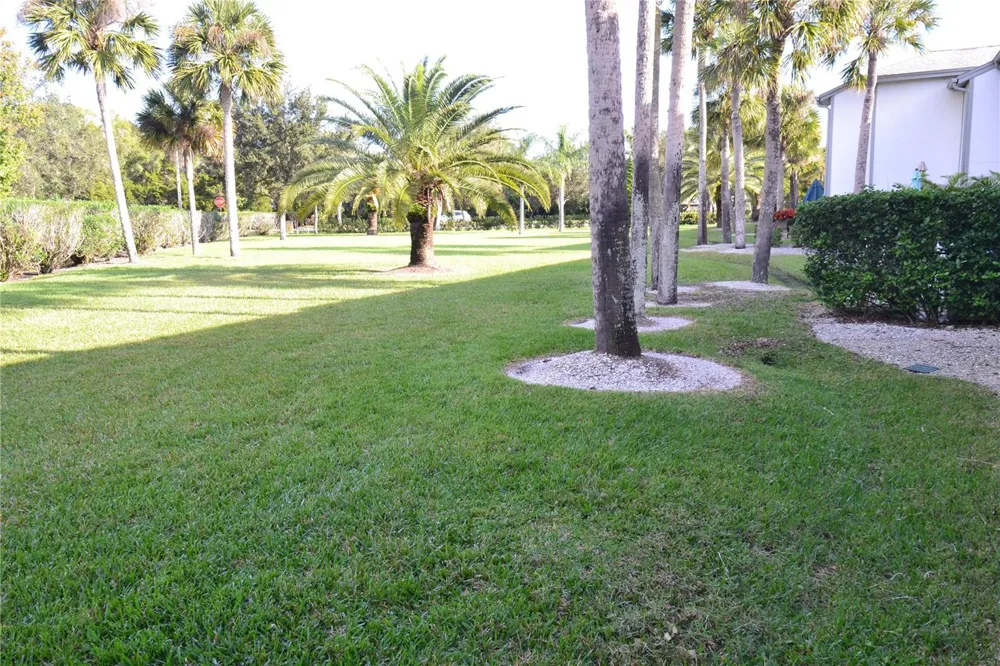 135 W CYPRESS COURT Oldsmar, FL 34677