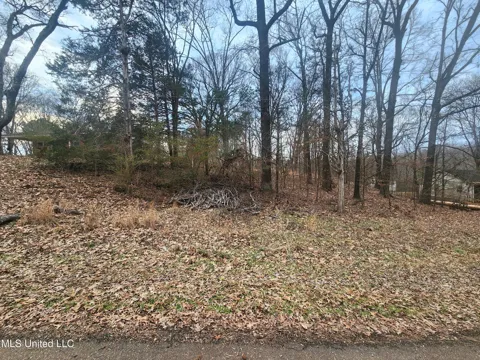 Jackson Road