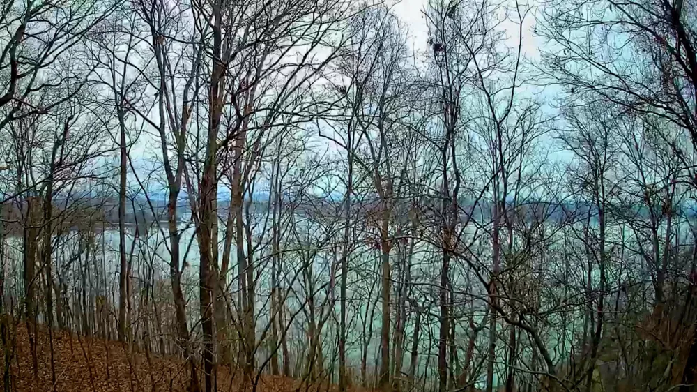 Johnson Lane Ten Mile, TN 37880