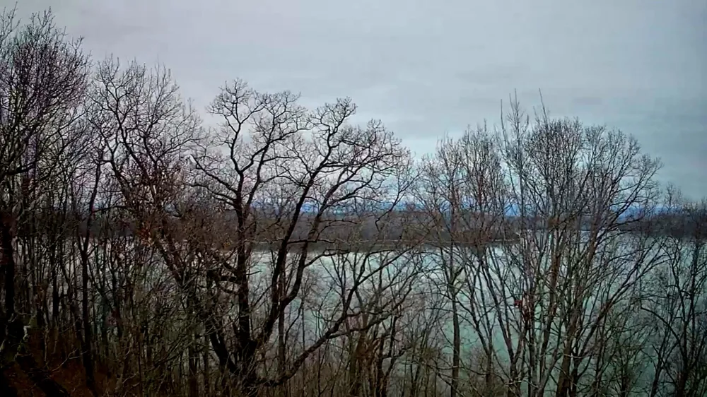 Johnson Lane Ten Mile, TN 37880
