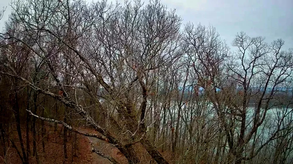 Johnson Lane Ten Mile, TN 37880